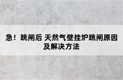 急！跳闸后 天然气壁挂炉跳闸原因及解决方法